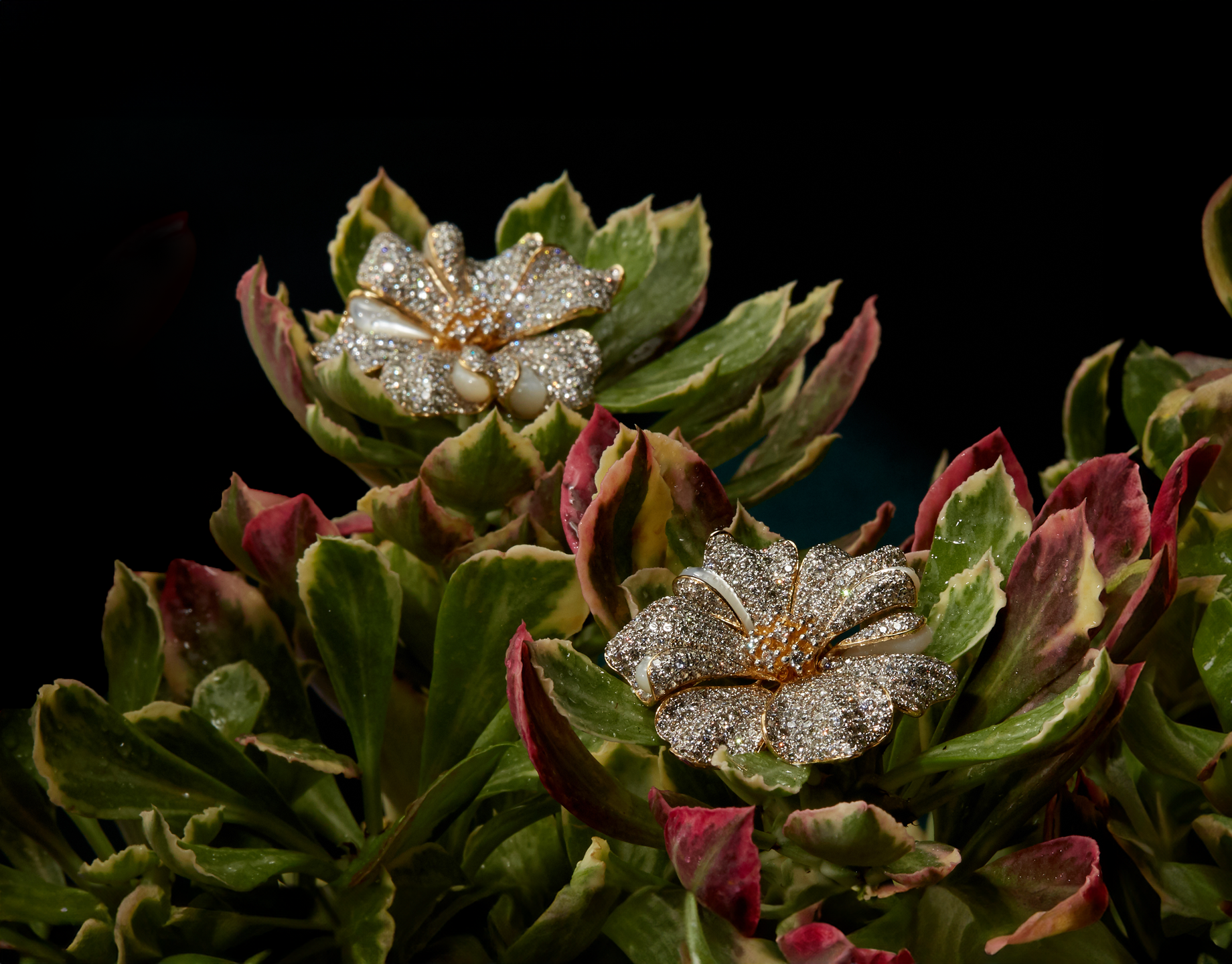 Narasha Rose Earrings Shine at Phillips Auction